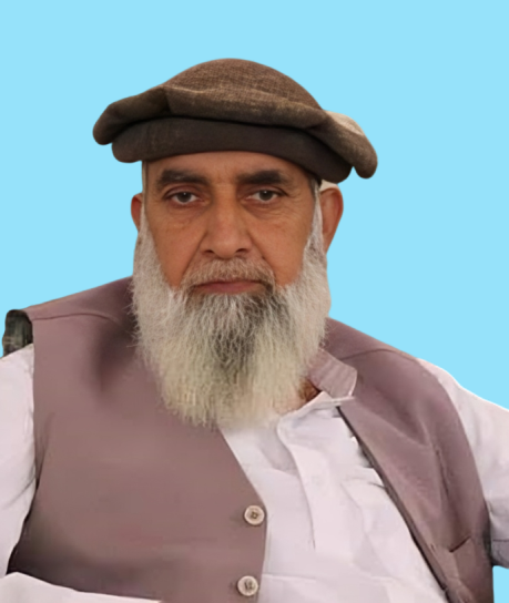 Haji Shah Baig MLA GBLA-15 Diamer Election 2020
